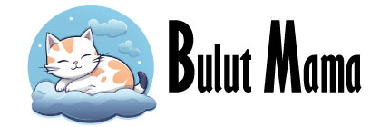 Felicia 12 Kg Kolajenli Somonlu Az Tahıllı Kısırlaştırılmış Kedi Maması  HypoAllergenic Kedi Maması Felicia 12 Kg Kolajenli Somonlu Az Tahıllı Kısırlaştırılmış Kedi Maması  HypoAllergenic Kedi Maması