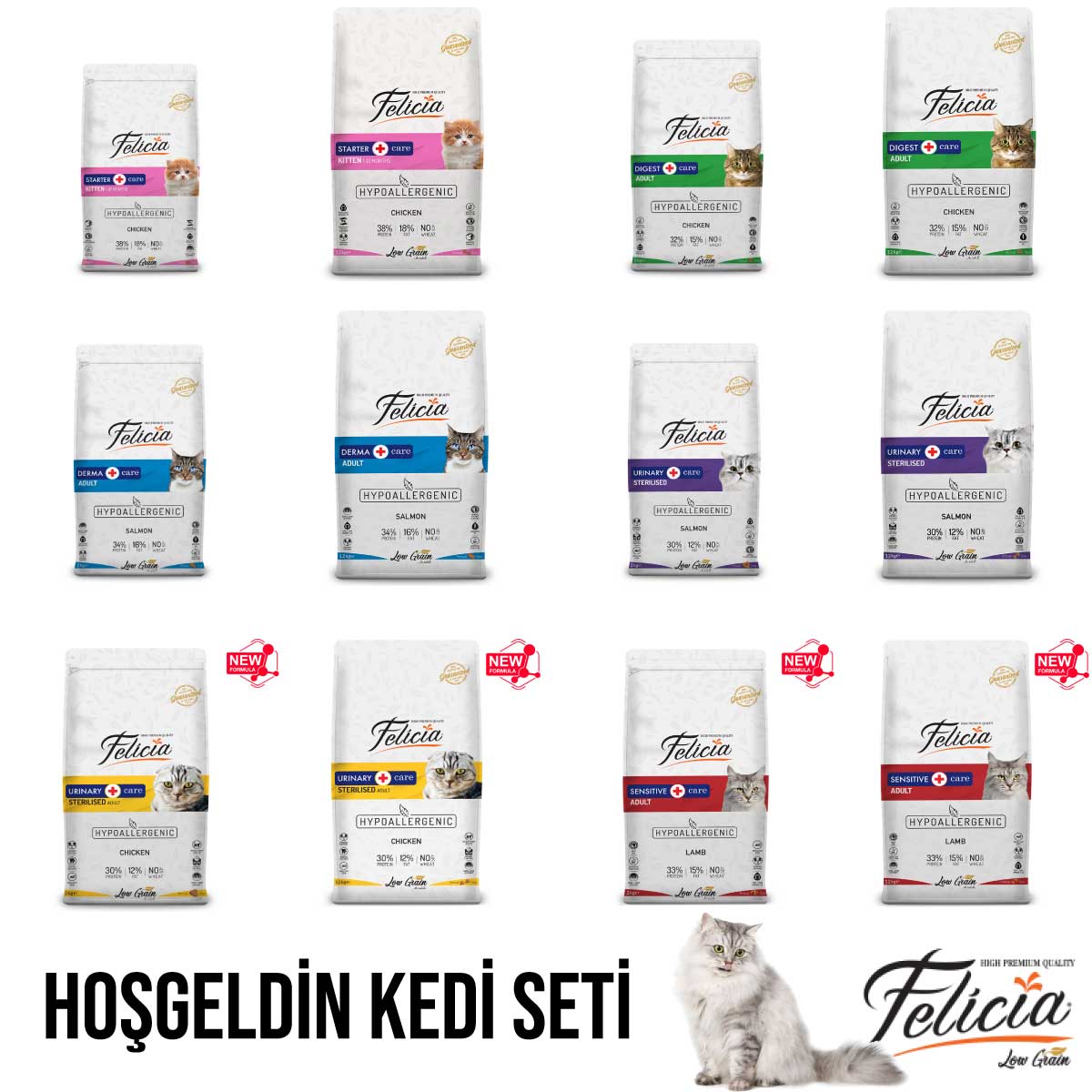 Felicia Hoşgeldin Petshop Özel Kampanyası - Temmuz (12x1)