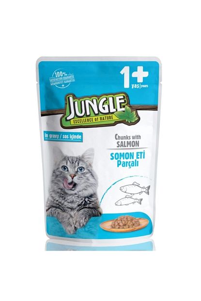 Kedi Somonlu 24 Adet 100 G Pouch
