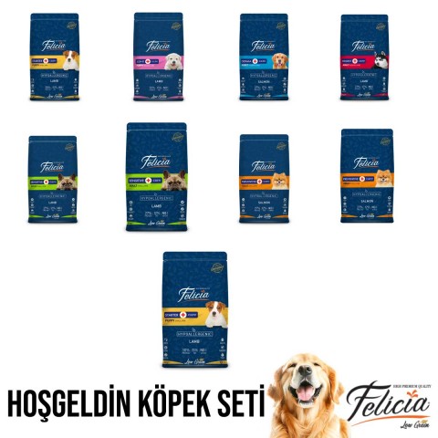 Felicia Hoşgeldin Petshop Özel Kampanyası - Temmuz (2 Kg)